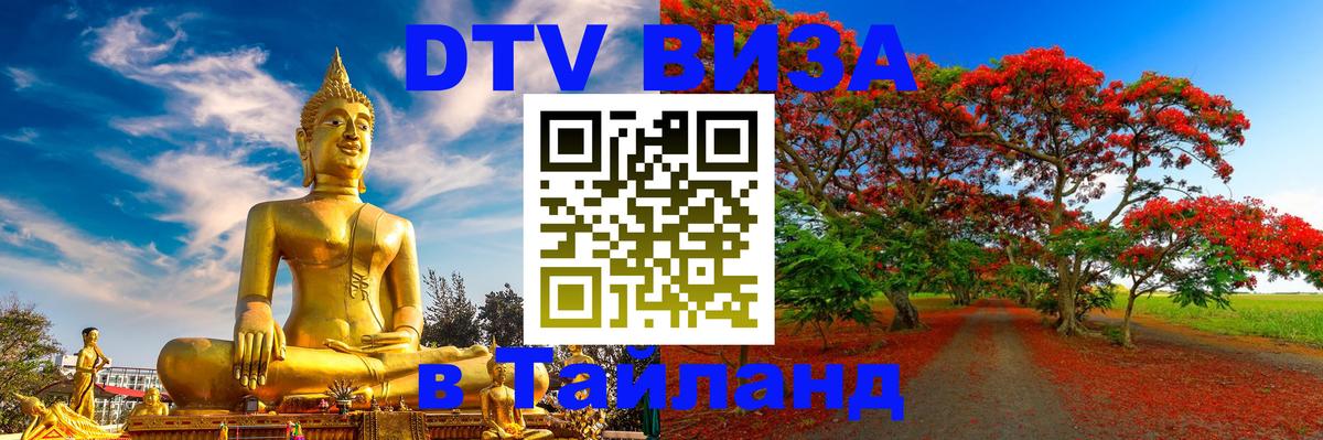 Сколько стоит DTV виза — актуальные цены, оформление даже без документов - 19.11.2025 